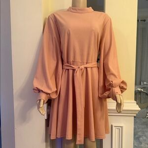 Elegant Pink High Neck Blouson Long-Sleeve Skater Dress